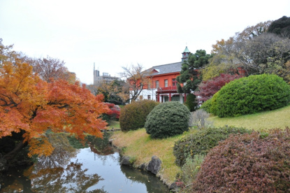 東京大学大学院理学系研究科附属植物園情報ページ るーむびず