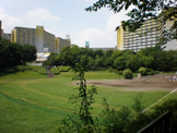 若葉台公園