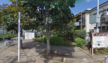 公園 世田谷区立梅丘とちのき公園