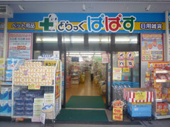 どらっぐぱぱす世田谷尾山台店の画像1