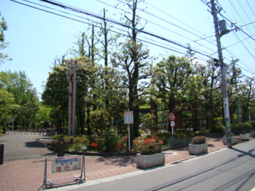 馬橋公園の画像3