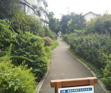 北沢川緑道 公園橋〜梅ヶ丘橋