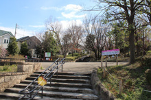 公園 羽根木公園 東松原駅口