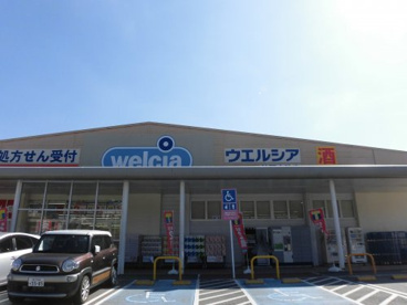 ウエルシア神戸大池店の画像1