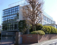 幼稚園 松蔭幼稚園