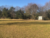 第5号坂浜上谷戸緑地