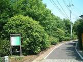 八季の緑地