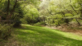 稲城第1公園
