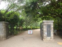 駒場野公園の画像1
