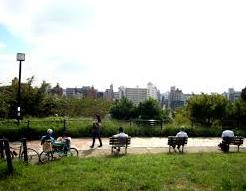 西郷山公園の画像1