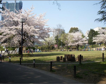 菅刈公園の画像1