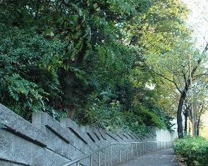 大坂緑地の画像1