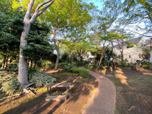 公園 世田谷区立岡本いこいのもり緑地