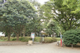 目黒区民センター公園