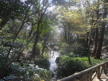 有栖川宮記念公園の画像1