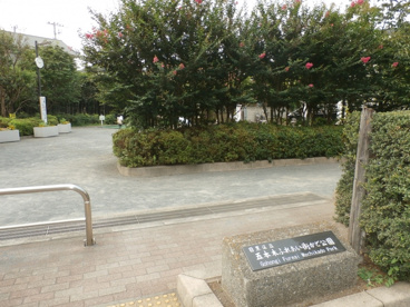 五本木ふれあい街かど公園の画像1
