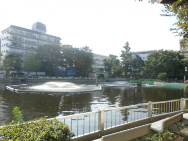清水池公園の画像1