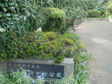 向原西街かど公園の画像1