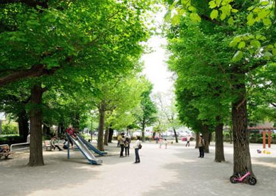 田向公園の画像1