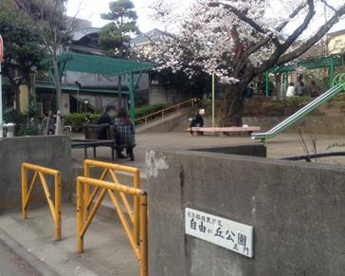 自由が丘公園の画像1