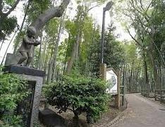 八雲三丁目緑地の画像1