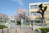 小学校 神戸市立本山第一小学校