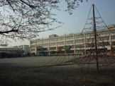立川市立松中小学校