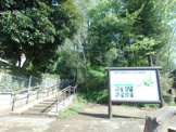 西恋ケ窪緑地 （エックス山）