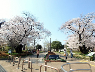 都立武蔵国分寺公園の画像3