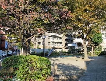 台場浦公園の画像1