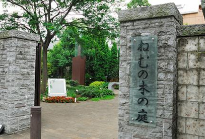 むねの木の庭の画像1