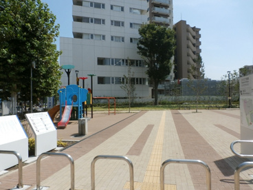 平塚公園の画像1