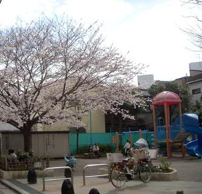 中延公園の画像1