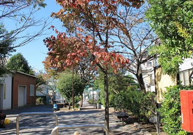 源氏前公園の画像1