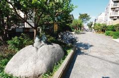 平塚たけのこ公園の画像1