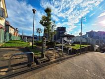 はけ通り樹林地