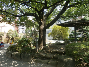 しいのき公園の画像1