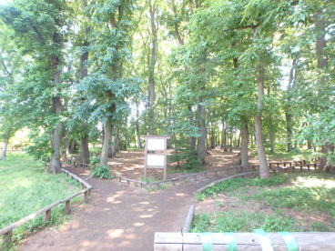 日吉町開放樹林地の画像1
