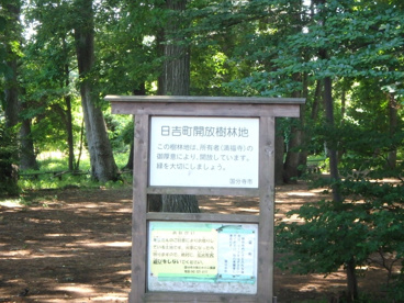 日吉町開放樹林地の画像2