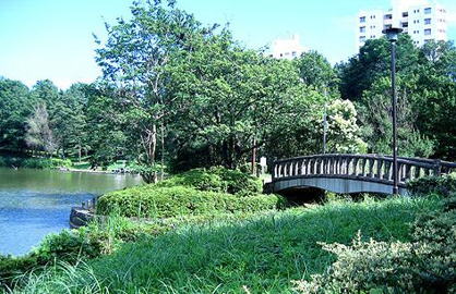 ゆたか南公園の画像1