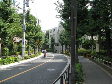 音羽中学校の画像4