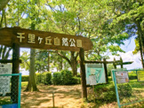 千里ケ丘自然公園