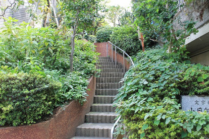 小日向公園の画像1