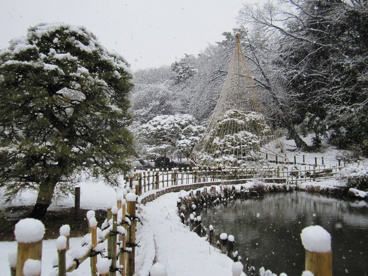 新江戸川公園の画像1