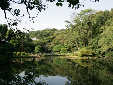 新江戸川公園の画像2