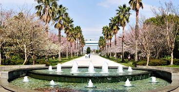 潮風公園の画像1
