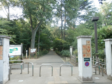 林試の森公園の画像1