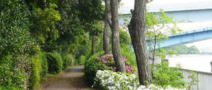 京浜運河緑道公園の画像1