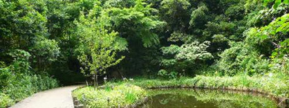 大井ふ頭緑道公園の画像1