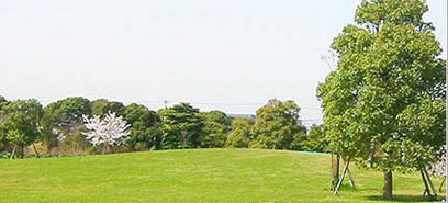 大井ふ頭中央海浜公園の画像1